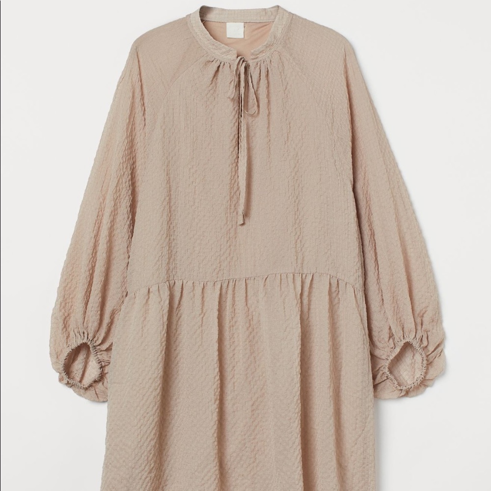 H&M Balloon Sleeved-Dress